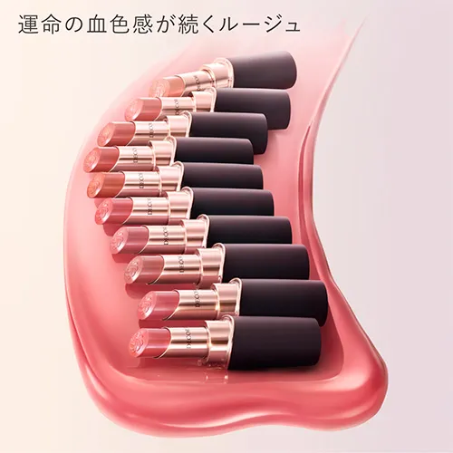 ルージュデコルテのイメージ画像